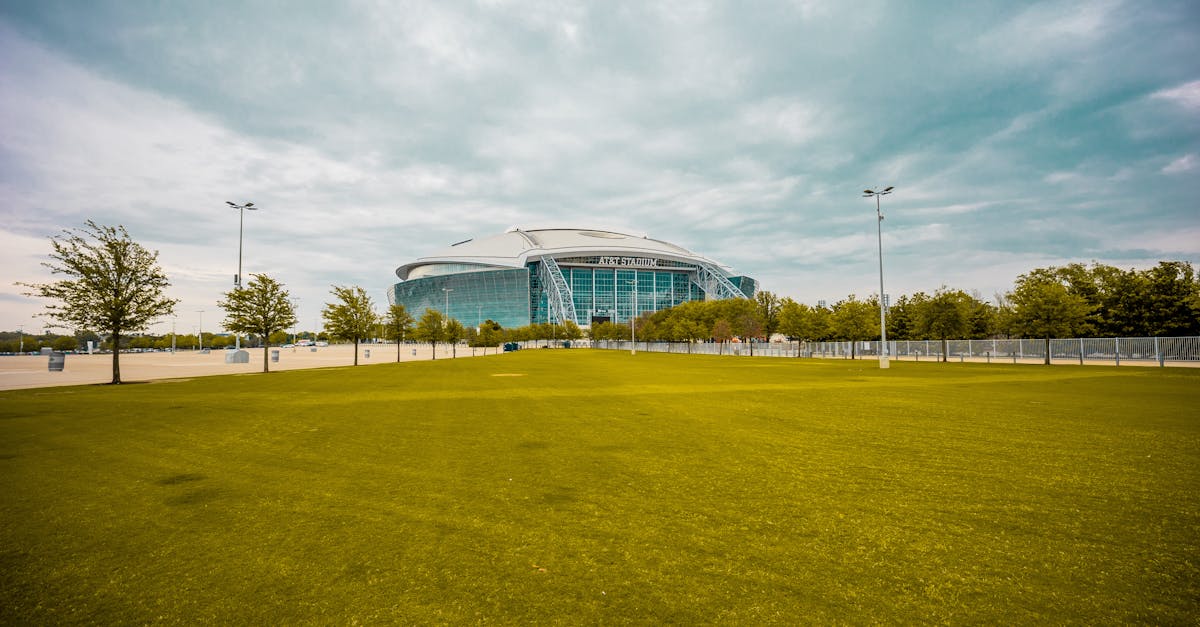 Arlington, Texas — remote online notarization with Robin Nunn