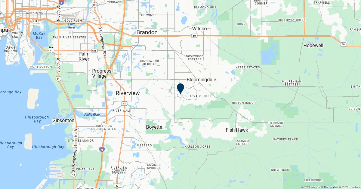 Bloomingdale, Florida — remote online notarization with Robin Nunn