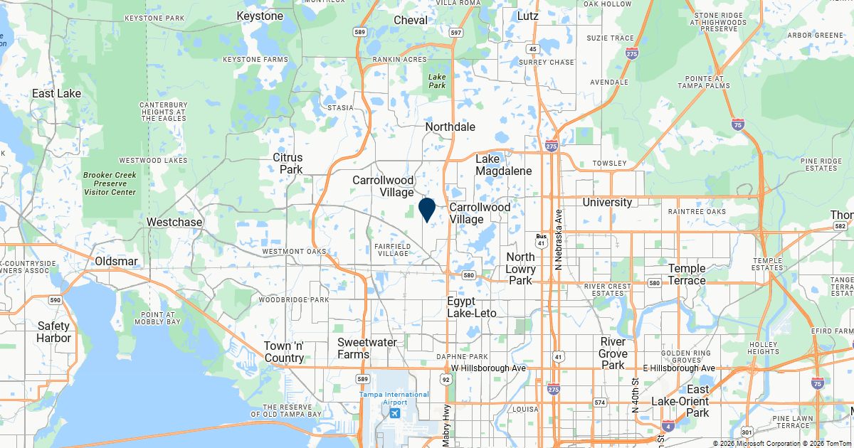 Carrollwood, Florida — remote online notarization with Robin Nunn