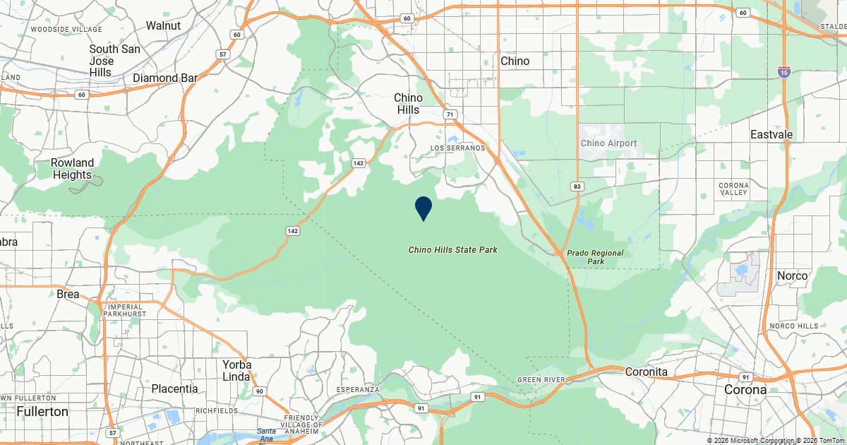 Chino Hills, California — remote online notarization with Robin Nunn
