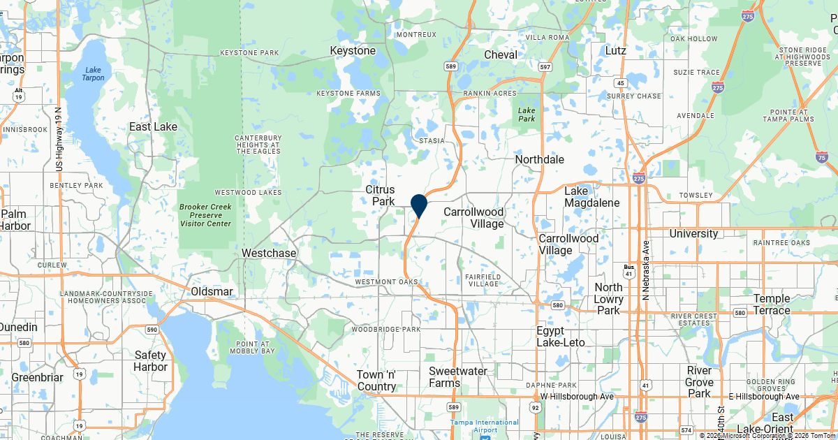 Citrus Park, Florida — remote online notarization with Robin Nunn