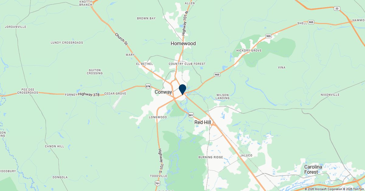 Conway, South Carolina — remote online notarization with Robin Nunn
