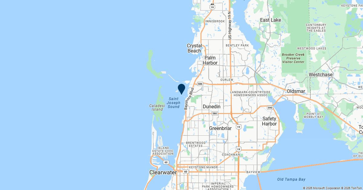 Dunedin, Florida — remote online notarization with Robin Nunn