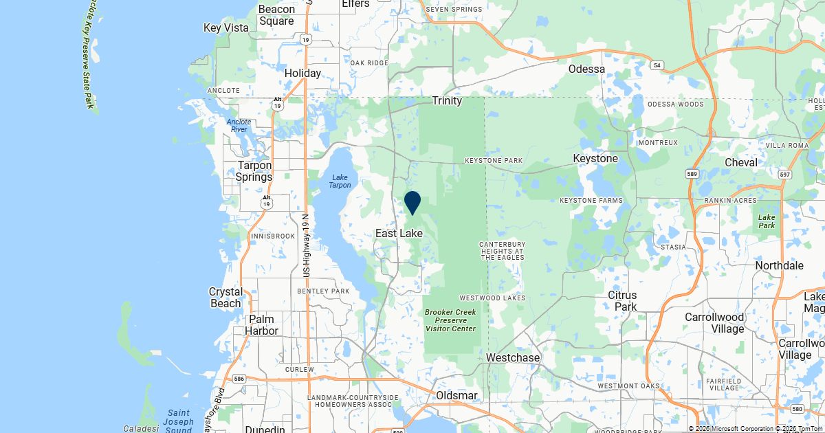 East Lake, Florida — remote online notarization with Robin Nunn