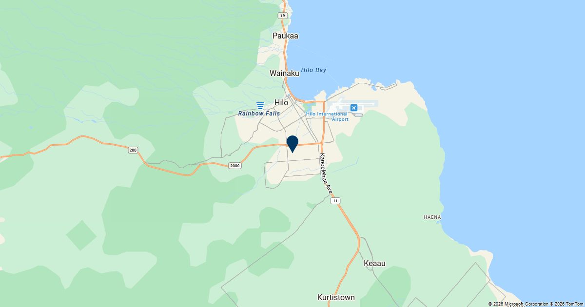 Hilo, Hawaii — remote online notarization with Robin Nunn