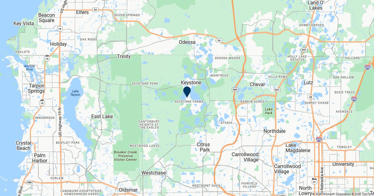 Keystone, Florida — remote online notarization with Robin Nunn
