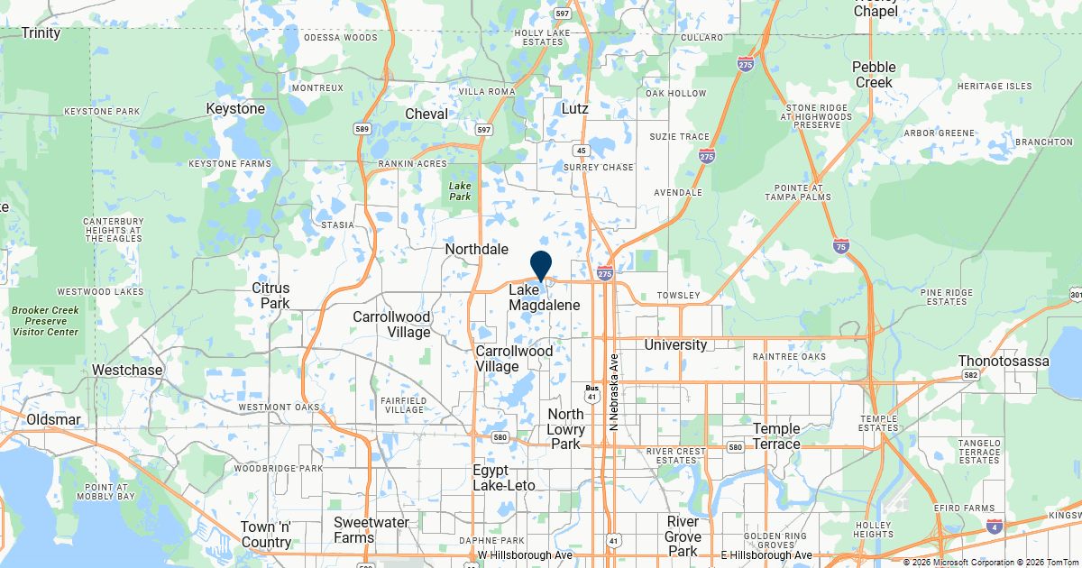 Lake Magdalene, Florida — remote online notarization with Robin Nunn