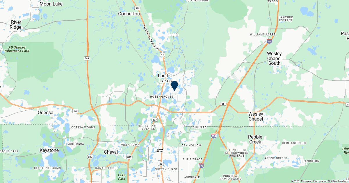 Land O' Lakes, Florida — remote online notarization with Robin Nunn
