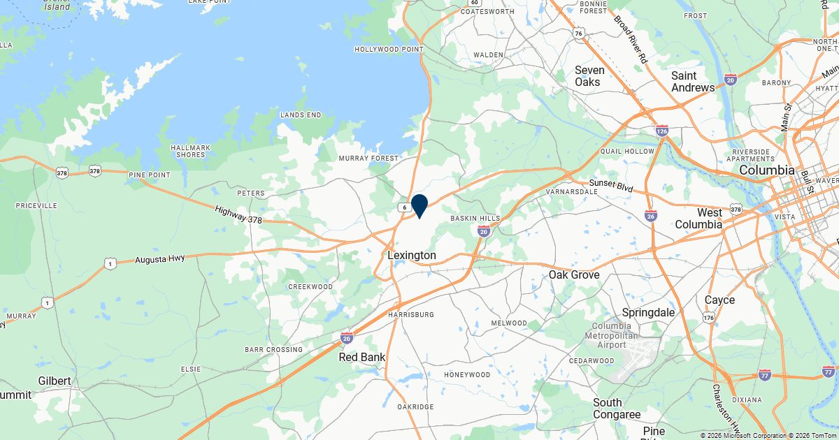 Lexington, South Carolina — remote online notarization with Robin Nunn