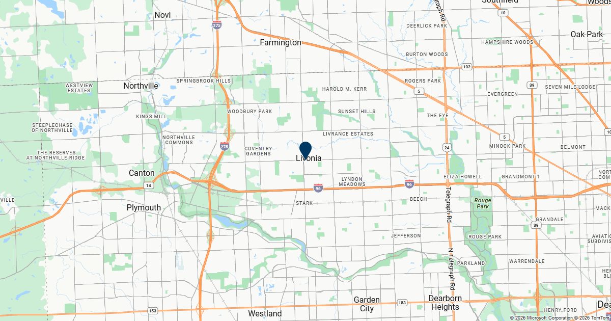 Livonia, Michigan — remote online notarization with Robin Nunn