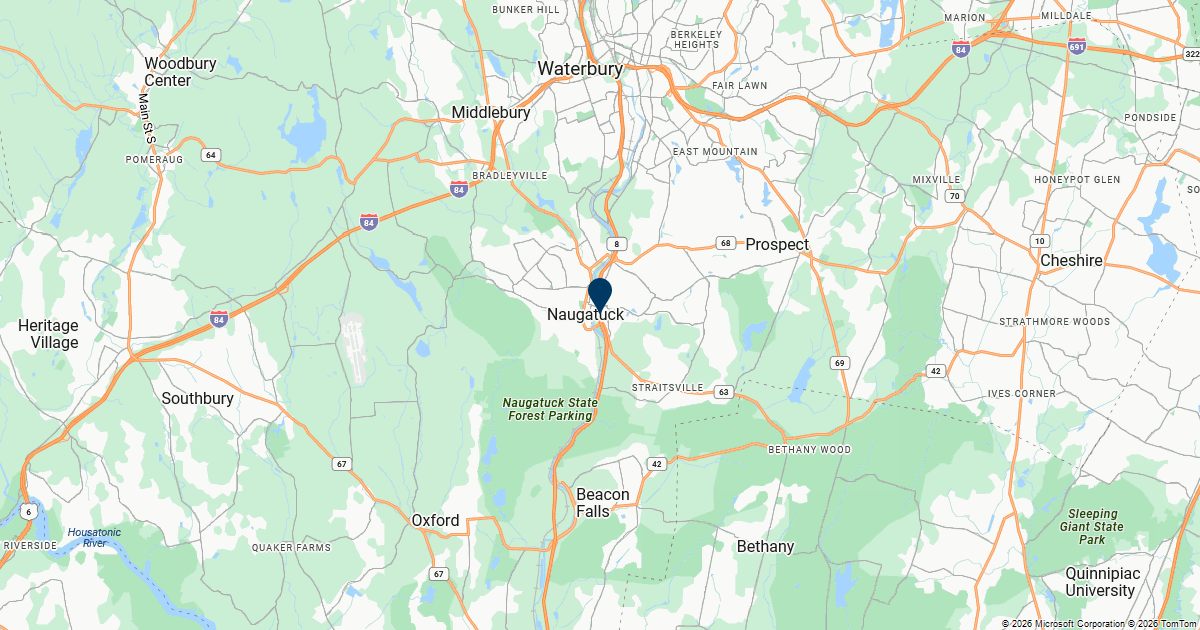 Naugatuck, Connecticut — remote online notarization with Robin Nunn