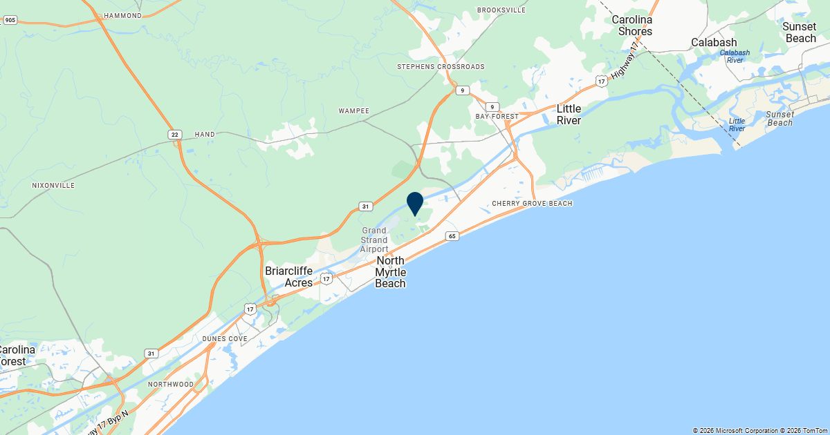 North Myrtle Beach, South Carolina — remote online notarization with Robin Nunn