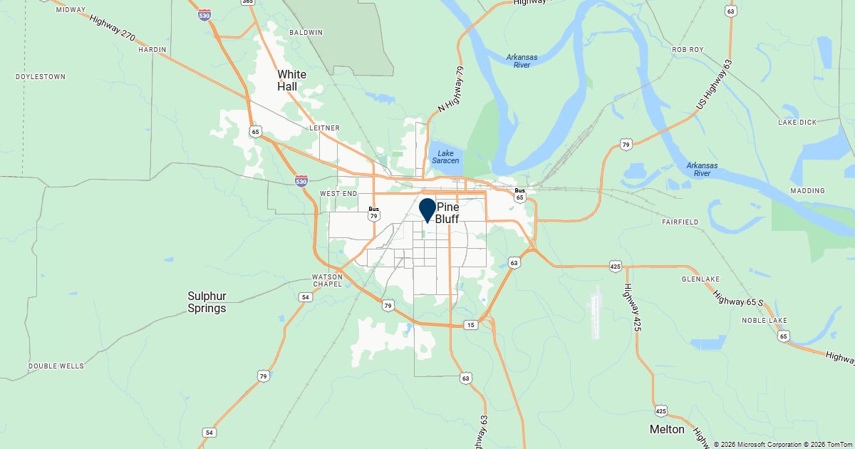 Pine Bluff, Arkansas — remote online notarization with Robin Nunn