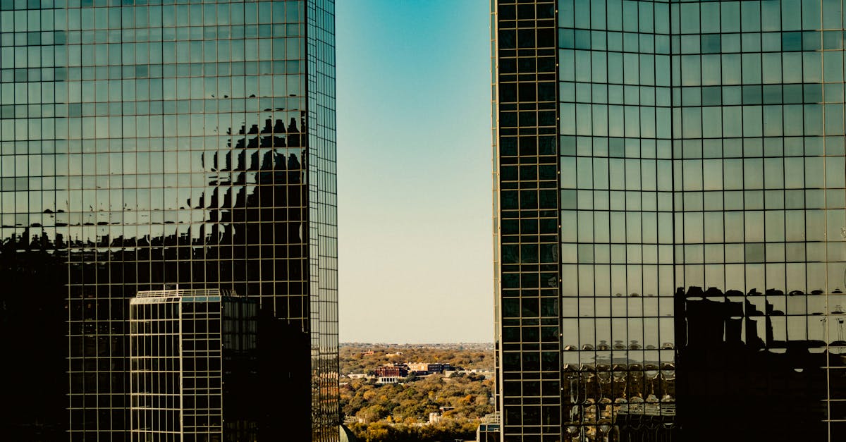 Plano, Texas — remote online notarization with Robin Nunn