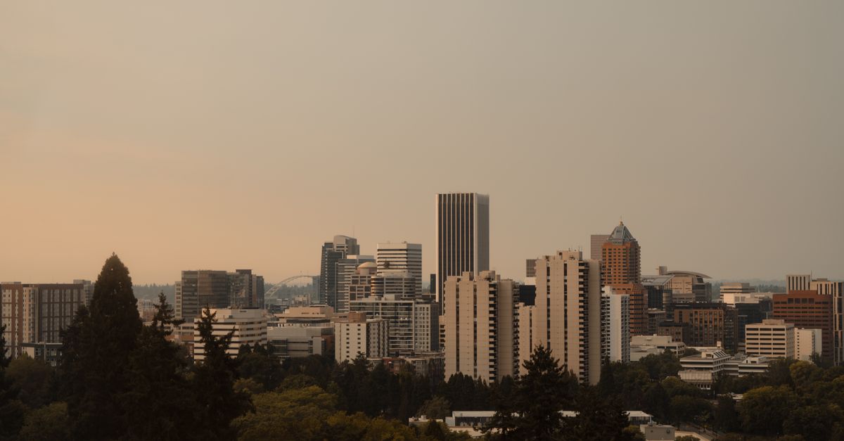 Portland, Oregon — remote online notarization with Robin Nunn