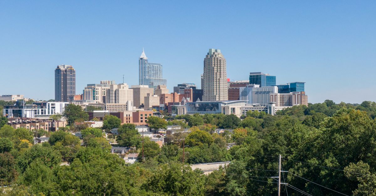 Raleigh, North Carolina — remote online notarization with Robin Nunn