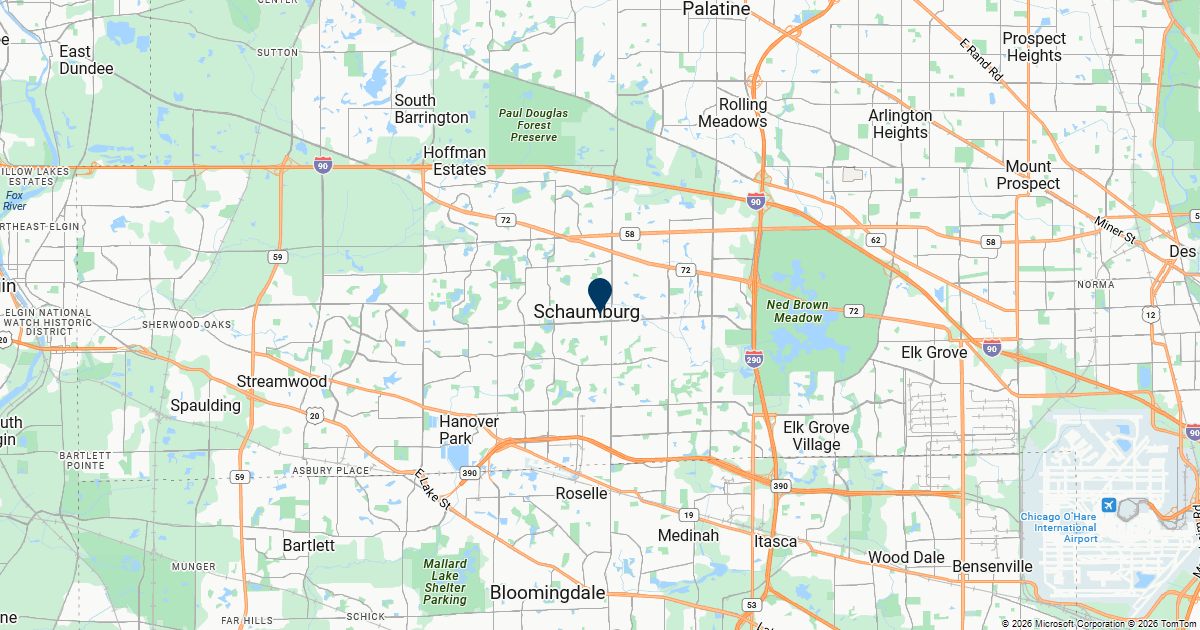 Schaumburg, Illinois — remote online notarization with Robin Nunn