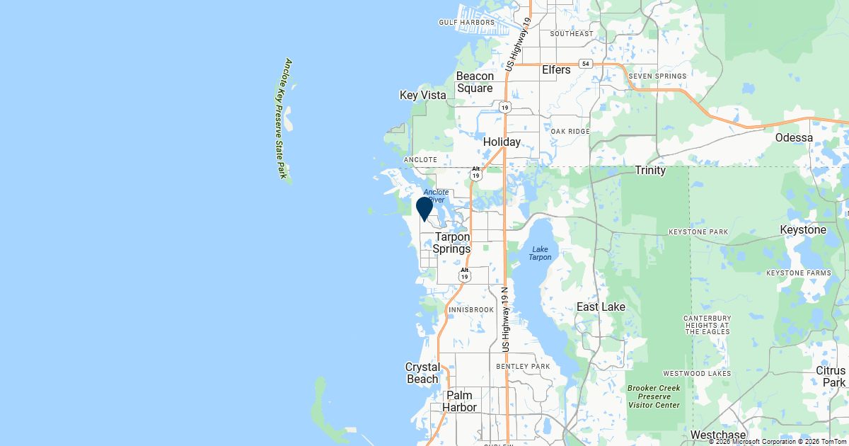 Tarpon Springs, Florida — remote online notarization with Robin Nunn