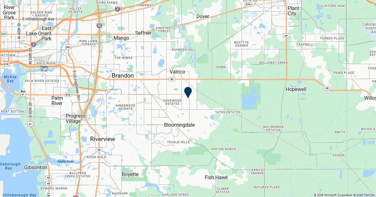 Valrico, Florida — remote online notarization with Robin Nunn