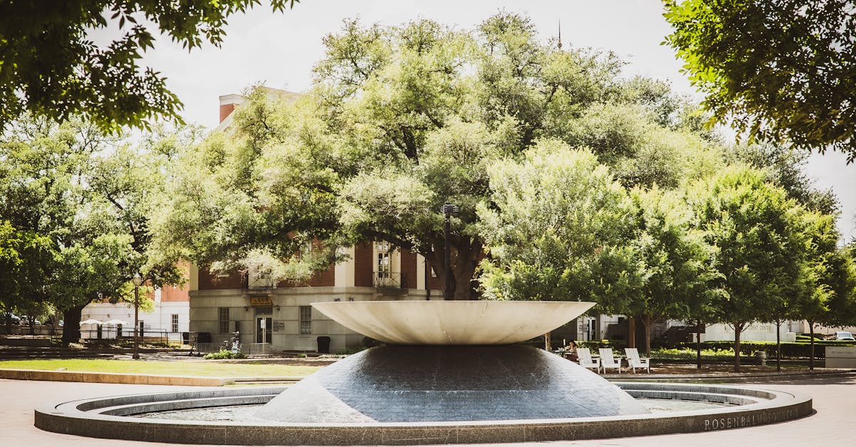 Waco, Texas — remote online notarization with Robin Nunn