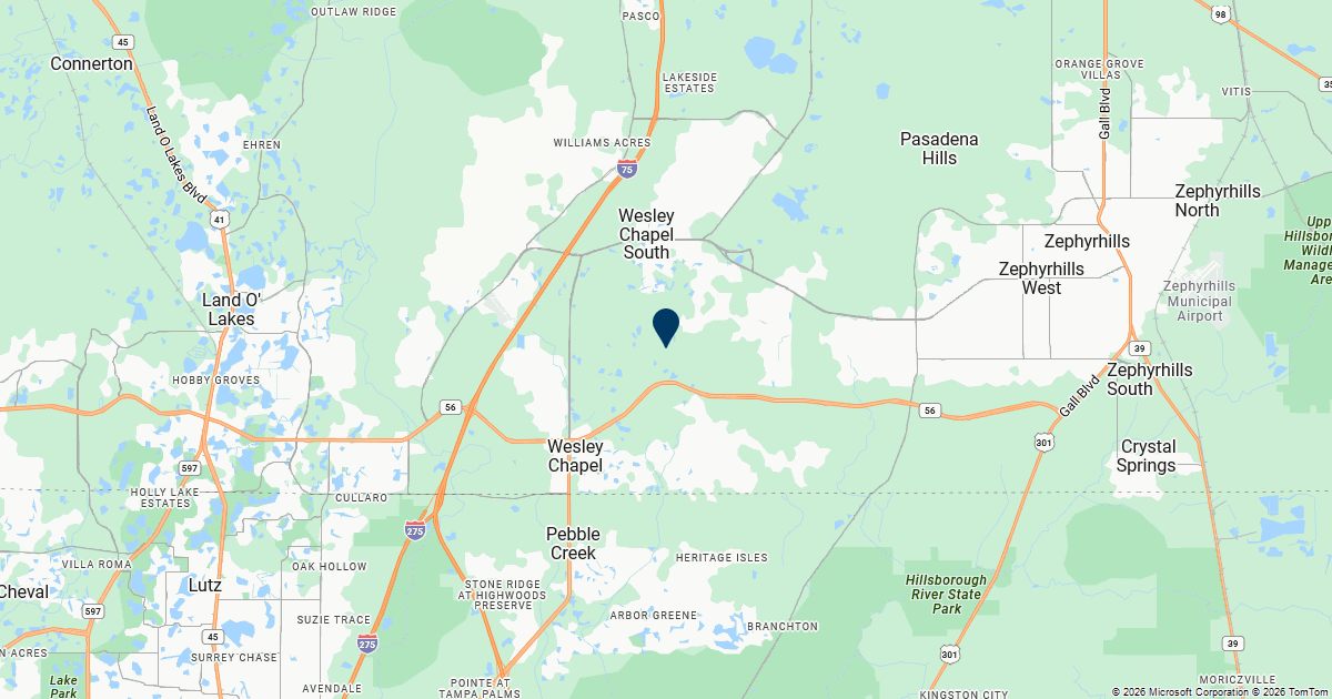 Wesley Chapel, Florida — remote online notarization with Robin Nunn