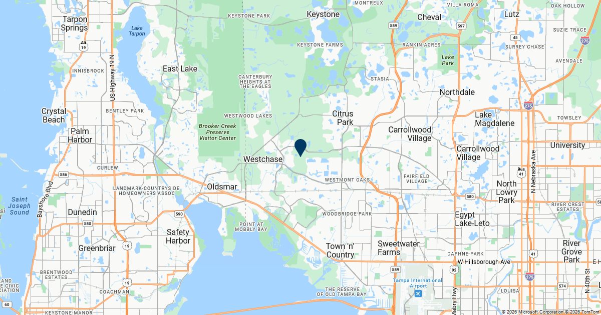 Westchase, Florida — remote online notarization with Robin Nunn