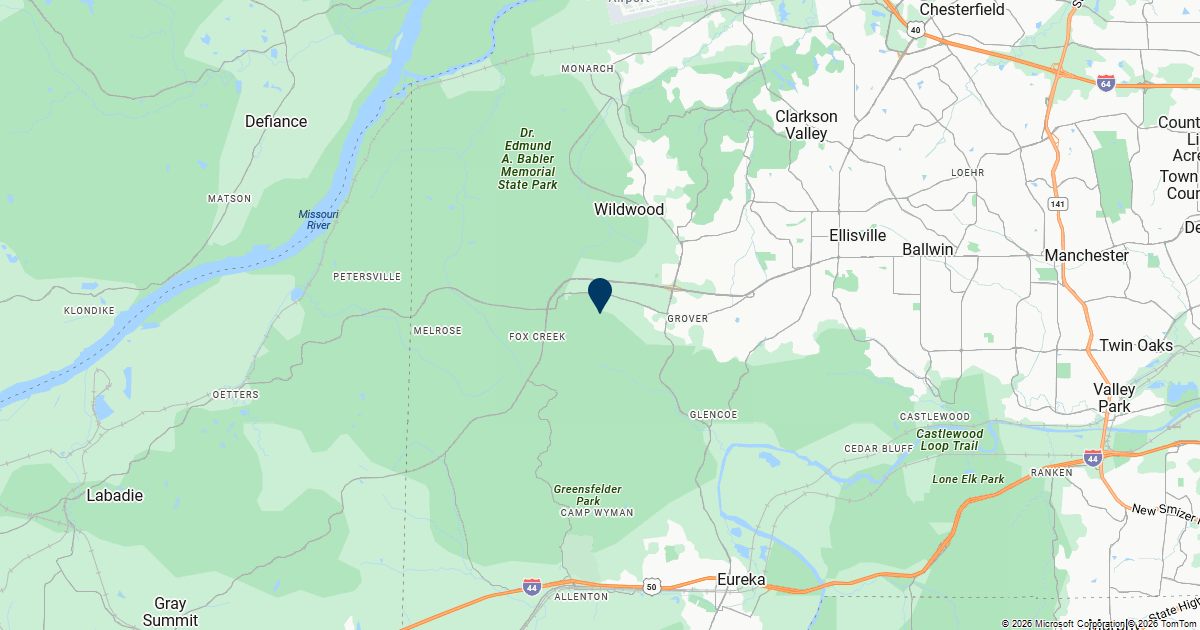 Wildwood, Missouri — remote online notarization with Robin Nunn